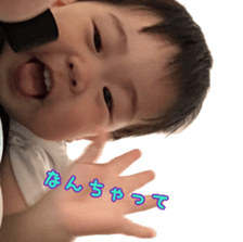 78801202