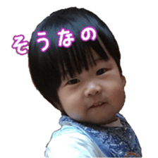 78801214