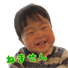 78801221