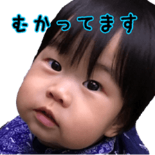 78801230