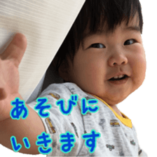 78801233
