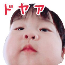 78801234