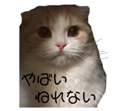 788022553