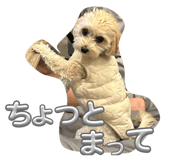 788030451