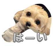 788030456
