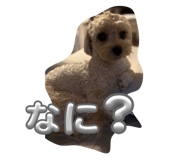 788030460