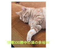 788037844