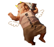 788044040