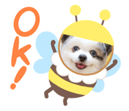 788047689
