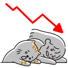 ลายที่ 31