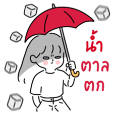 ลายที่ 43