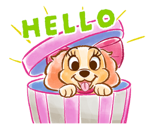 ลายที่ 13