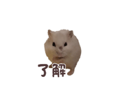 788141089