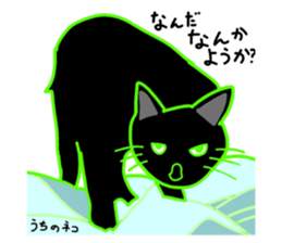 788141561