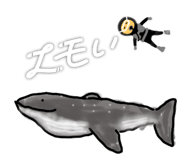 788141589