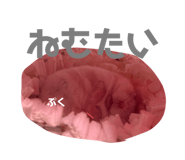 788151437