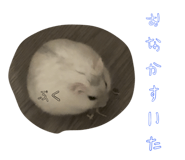 788151440