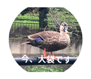 788153037