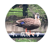 788153038