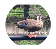 788153044