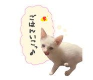 788174756