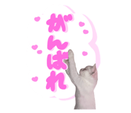 788174761
