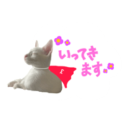 788174764