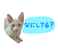 788174765