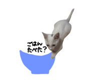788174767