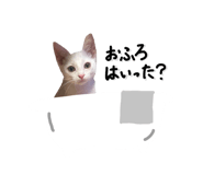 788174768