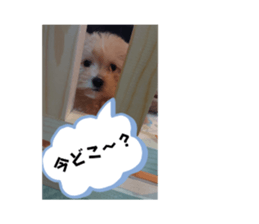 788178059