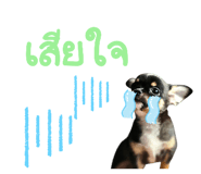 788183587