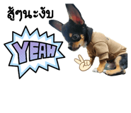 788183589