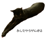 788184613