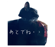 788184620