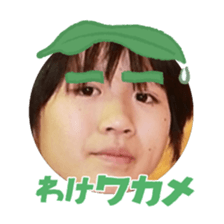 788188646