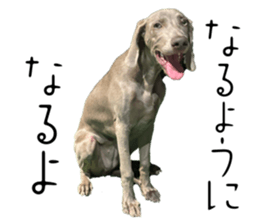788192737