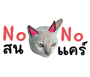 788200810
