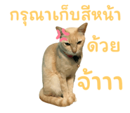 788200811