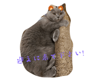 788203498
