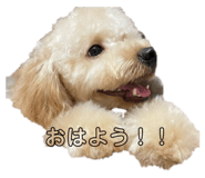 788204697