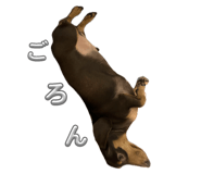 788205116