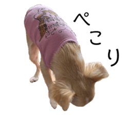 788240288