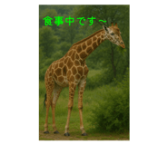 788243798