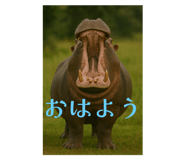 788243800