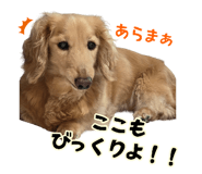 788261808