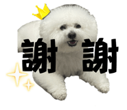 788267670
