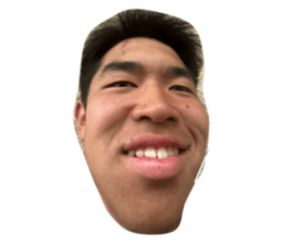 788273225