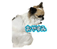 788274164