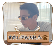 788306817